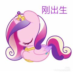 音韵公主的一生😄