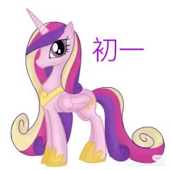 音韵公主的一生😄
