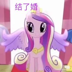 音韵公主的一生😄