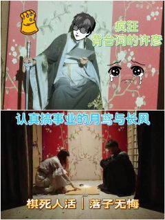 🍁综合体验7.9分🍁

📚弁言📚
1️⃣以上评分是综