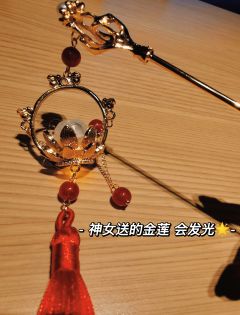 如果你喜欢苍岐1，那么青川绝对是一个错过会超级遗憾的现象级联