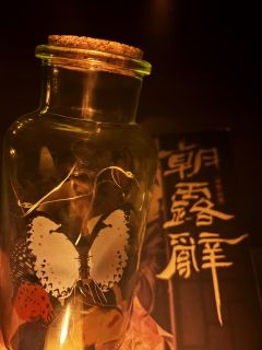 “深夜难眠 出来喂喂猫”
“喵”
🌖剧本类型:古风 情