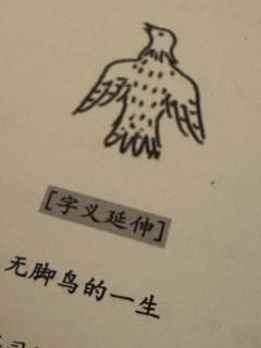 【含剧透】
🙋🏻‍♀️更适合中国宝宝的表里山河
🌟作为