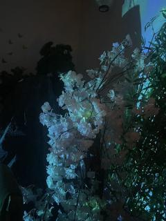 【含剧透】
青山落叶盛，观书南柯梦

dm：天天（楚岚潇）周