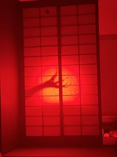 📖剧本名:百鬼新耳袋-雪姑
®️发行方:脑力觉醒
🕵️体