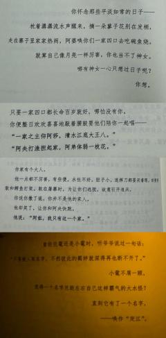 癫本、疯批本当道的市场,不吵架,不背刺,不对立,6人齐心的幸
