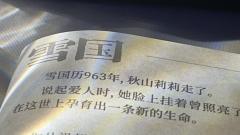 【含剧透】

《雪国》-松风绿
DM：尼克
NPC：荦荦、肆