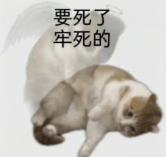 “阴差阳错 也是错”

体验角色：姜酒月
店家：灰境
DM：
