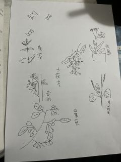 那天之前,霜降之于你,意有期盼。
那是她的生辰,亦是你想娶她