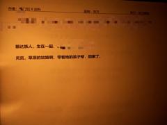 【含剧透】

万物不如金莲对饮时光，遇时携风雨，别时带走了四