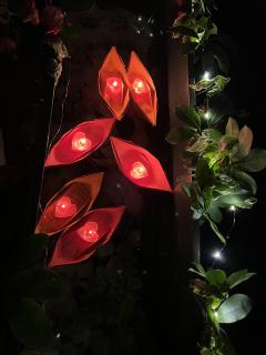 【含剧透】

万物不如金莲对饮时光，遇时携风雨，别时带走了四