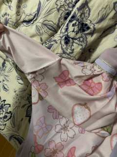 樱花草莓想问问正不正