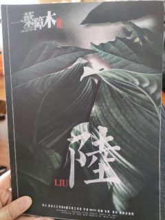 中式豪门剧本杀叙诡代表之作
大还原+纯爱吃瓜
游戏体验 ⭐⭐