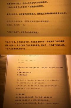 “无论什么样子,它都只会为你而跳动。”
角色:埃里克斯