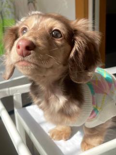 【含剧透】
圣诞快乐,我的灰眼睛女孩们,我们回家吧。
今天