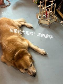 【含剧透】“月满西楼，杨柳生烟”

店铺：惊鸿探案馆
dm：