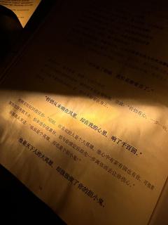 这世间太苦了,吃点甜的吧,吃完,宝儿就回家啦。
剧本:《梧桐
