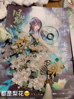 “仁者无忧，爱者无怖”
“恩爱不疑，相携白首”

📕剧本: