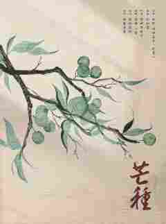 “红豆是我为数不多给5星的本,芒种也是我为数不多,想二刷角色