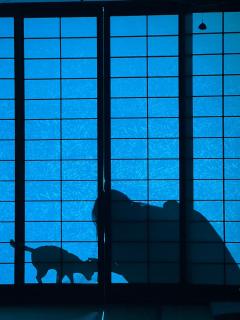 📖剧本名:百鬼新耳袋-雪姑
®️发行方:脑力觉醒
🕵️体