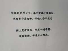 南北东西，愿得相见无别离
我有所爱之人 隔在远远乡

时长: