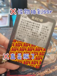 这可能是2024年最好玩的机制本！！！

📍店家：百川·望