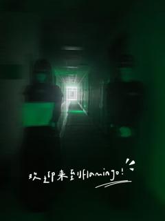 🍭强互动恐怖氛围拉满，全店围着你们转~

店家：剧忠人工作