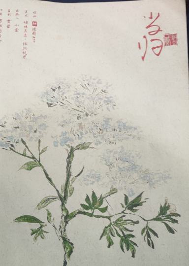 红豆一云潜跟望舒的遗憾，红豆二的砚秋跟仪景都补上了，没吃上的阳春面，来不及穿的嫁衣，没说出口的爱意，都得到了圆满。砚秋送仪景一片芍药花田，仪景送砚秋一条当归路，双向救赎的爱情吃的太满了，还有就是母亲线