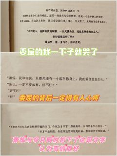 🍁综合体验8.4分🍁

📚弁言📚
1️⃣以上评分是综