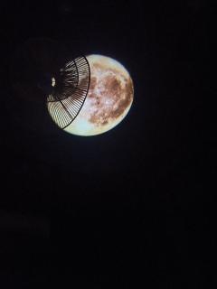 三月只一夜满月,
一年只一次谷雨,
世上只有一个你。
店家