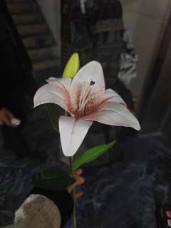 再见黎明-爹宝女最恶毒的惩罚
类型：港风 tvb 警匪 情感