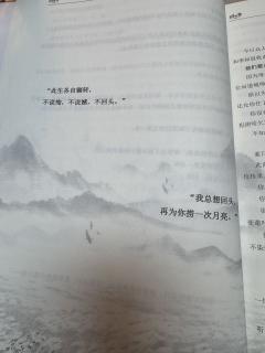 “我看着我的月亮走向了月亮,也看着我的月亮被我埋在满天的风沙