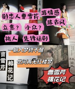 不愧是剧忠人，所有的演绎都最大化呈现了曹雪芹这个剧本想展示的