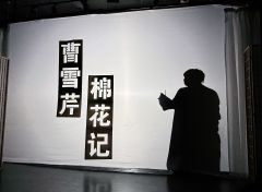 不愧是剧忠人，所有的演绎都最大化呈现了曹雪芹这个剧本想展示的