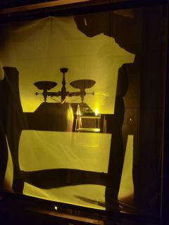 “死亡是一枚沉重而干净的果实,我们吃下去,医治太多活着的病症