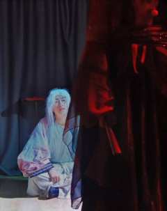从我出生 我便失去了我的自由 你又会在我的身上看到了谁的影