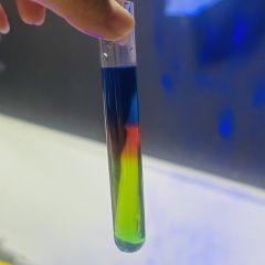 日落是为了迎接你最爱的月亮。
日出升起，你的月亮凋谢了…

