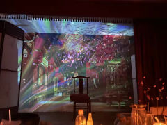 🍬🍬十万大山永远守护赵小西。
🌸🌼必须写在最前面，赵