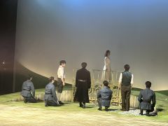 【危险的怜悯】暧昧的表达，释放的情绪

霍夫米勒，一个年轻的