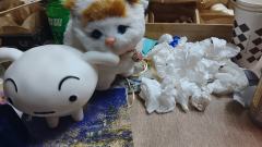 【含剧透】（不多...）
感谢周日第二人生《红豆2》的演绎人