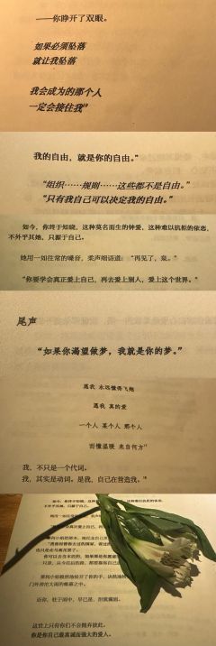 【如果必须坠落，就让我坠落，那个人，一定会接住我】
📚剧本