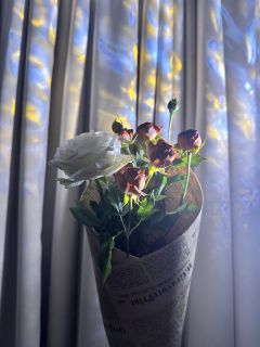 【如果必须坠落，就让我坠落，那个人，一定会接住我】
📚剧本