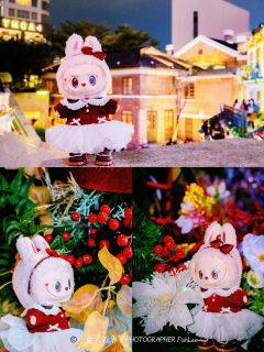 我滴圣诞Mokoko也去香港一日游啦🎄打卡了沙田马场、维港