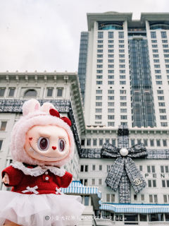 我滴圣诞Mokoko也去香港一日游啦🎄打卡了沙田马场、维港