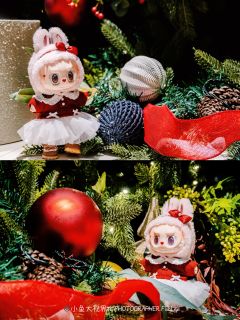 我滴圣诞Mokoko也去香港一日游啦🎄打卡了沙田马场、维港