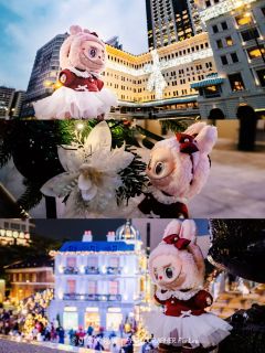 我滴圣诞Mokoko也去香港一日游啦🎄打卡了沙田马场、维港