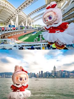 我滴圣诞Mokoko也去香港一日游啦🎄打卡了沙田马场、维港