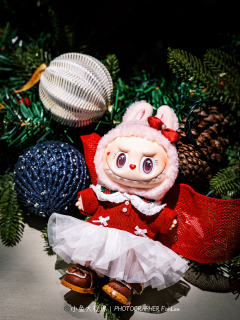 我滴圣诞Mokoko也去香港一日游啦🎄打卡了沙田马场、维港