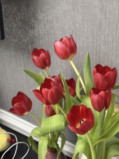 “渴望拥有爱,更渴望付出爱。当遇到选择时,你是否可以看清自己