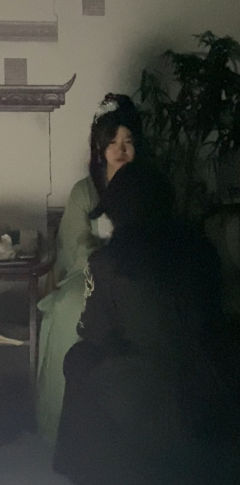 “我见青山多妩媚,料青山见我应如是”
🗡️类型:群像 历史